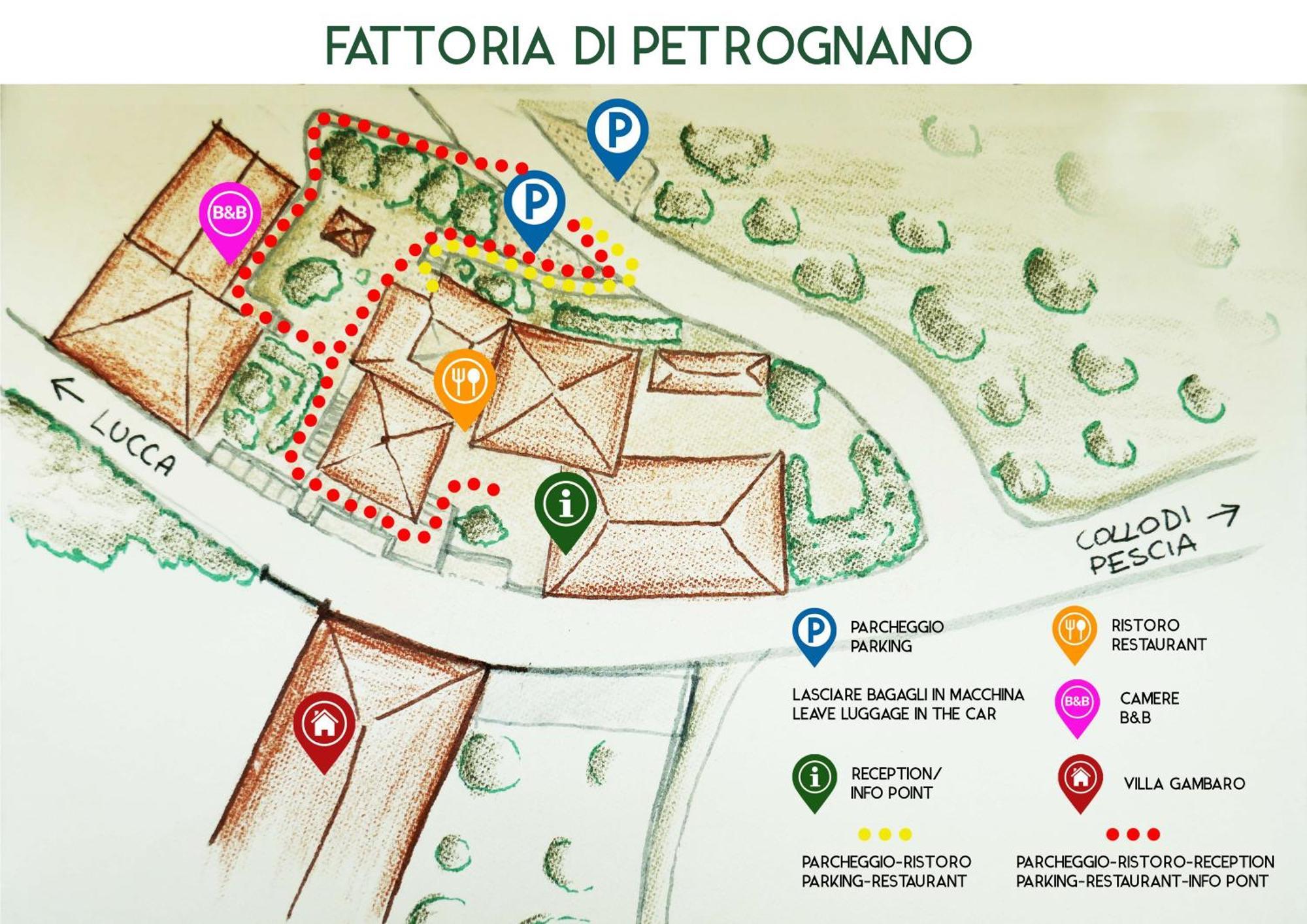 Fattoria Gambaro Di Petrognano Collodi Exterior foto
