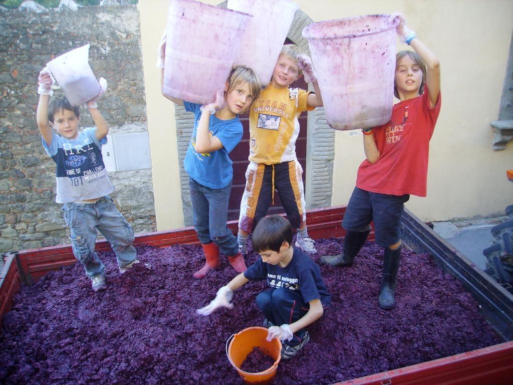 Fattoria Gambaro Di Petrognano Collodi Exterior foto