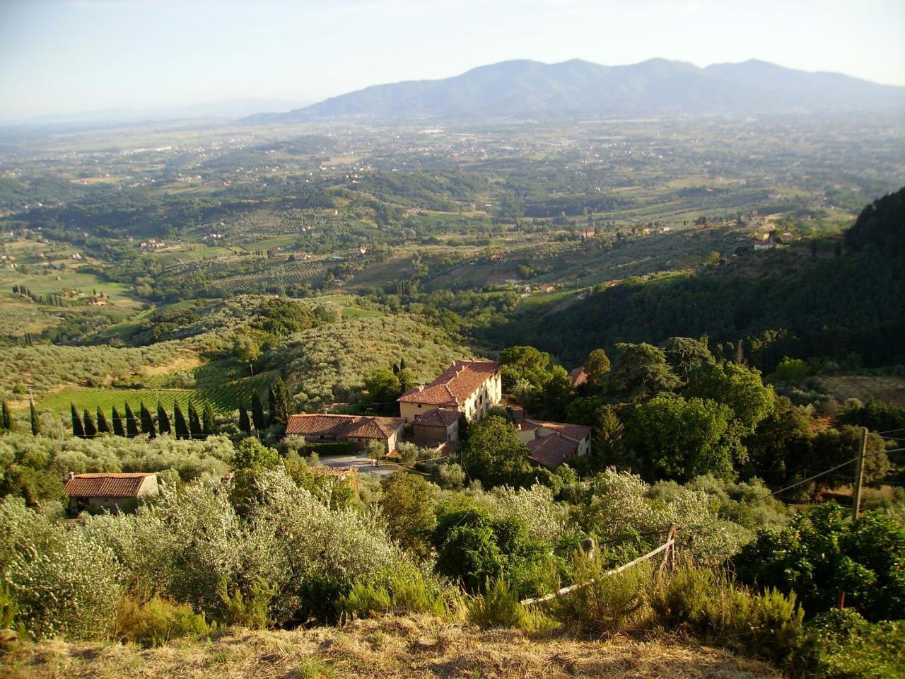Fattoria Gambaro Di Petrognano Collodi Exterior foto